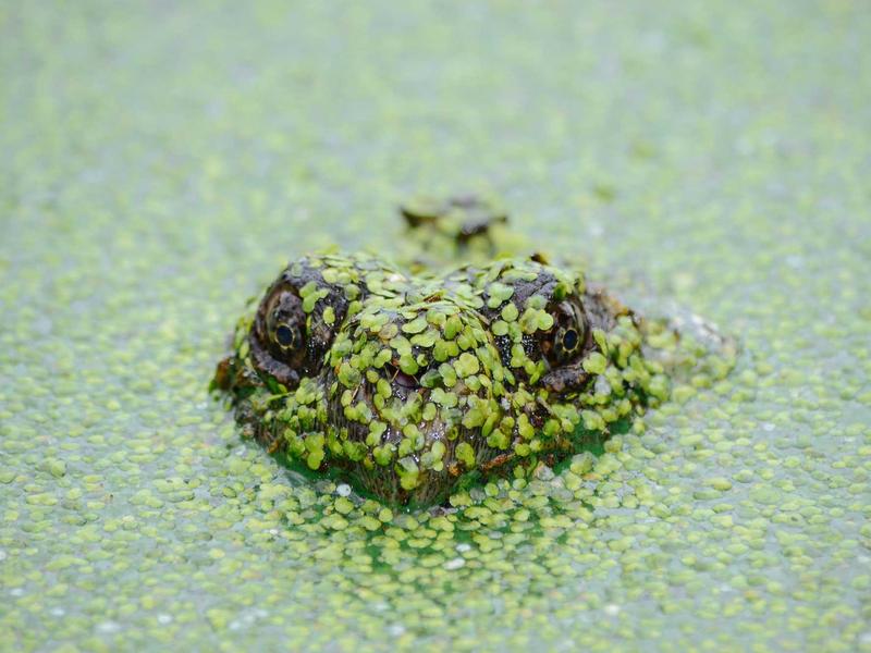 讨好型人格<br>lyd4nhjn.cn 拒绝困难症